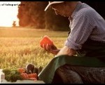 Support Organic Farmers ~ Tell Congress Not to Promote Big Ag