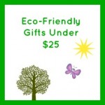 Eco-Friendly Holiday Gifts Under $25